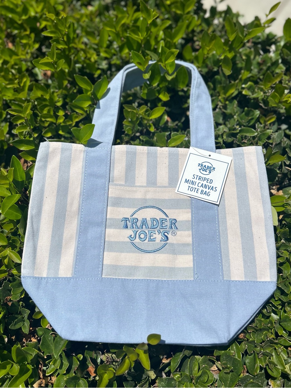 Trader Joe’s Striped Tote
